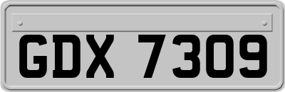 GDX7309