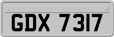 GDX7317