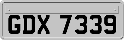GDX7339