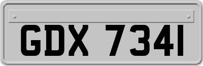 GDX7341