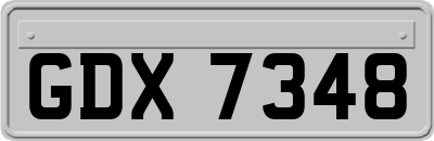 GDX7348