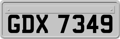 GDX7349