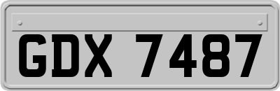 GDX7487