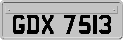 GDX7513