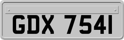 GDX7541