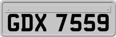 GDX7559