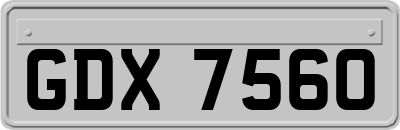 GDX7560