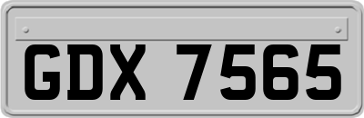 GDX7565