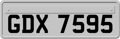 GDX7595