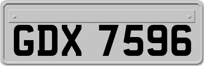 GDX7596