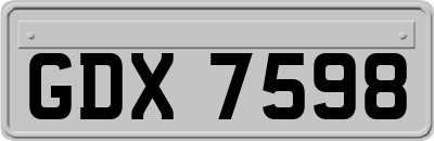 GDX7598