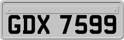 GDX7599