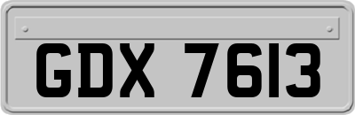 GDX7613