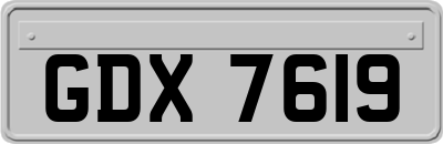 GDX7619