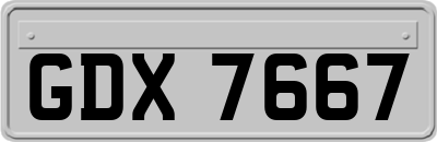 GDX7667