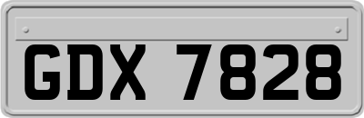 GDX7828