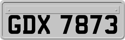 GDX7873