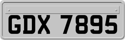 GDX7895