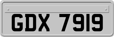 GDX7919