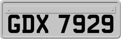 GDX7929