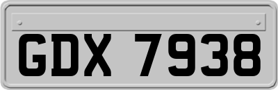 GDX7938