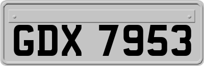 GDX7953