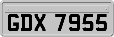 GDX7955