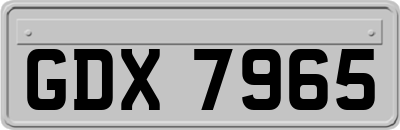 GDX7965