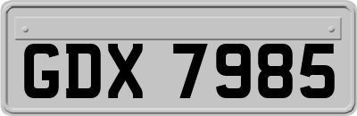 GDX7985