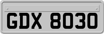 GDX8030