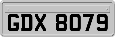 GDX8079