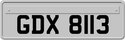 GDX8113
