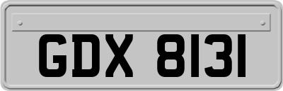 GDX8131
