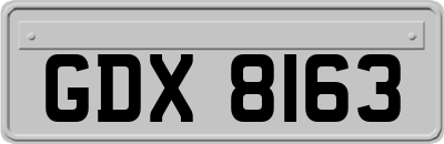 GDX8163