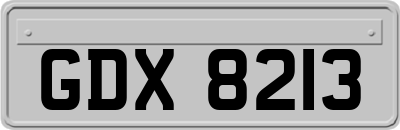 GDX8213
