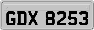 GDX8253