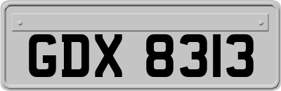 GDX8313