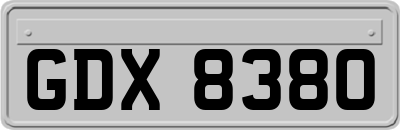 GDX8380