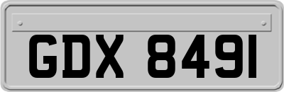 GDX8491