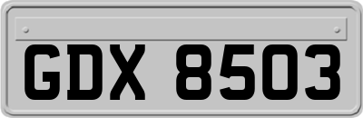 GDX8503
