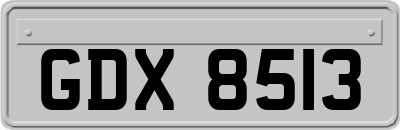GDX8513