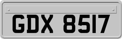 GDX8517