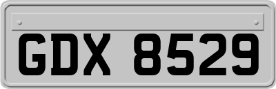 GDX8529