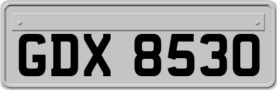 GDX8530
