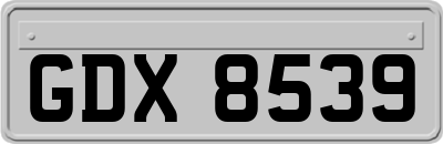GDX8539