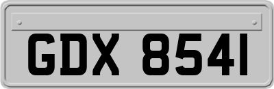 GDX8541