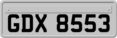 GDX8553