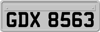 GDX8563