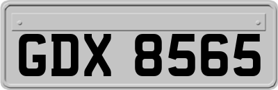 GDX8565