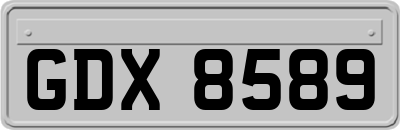 GDX8589